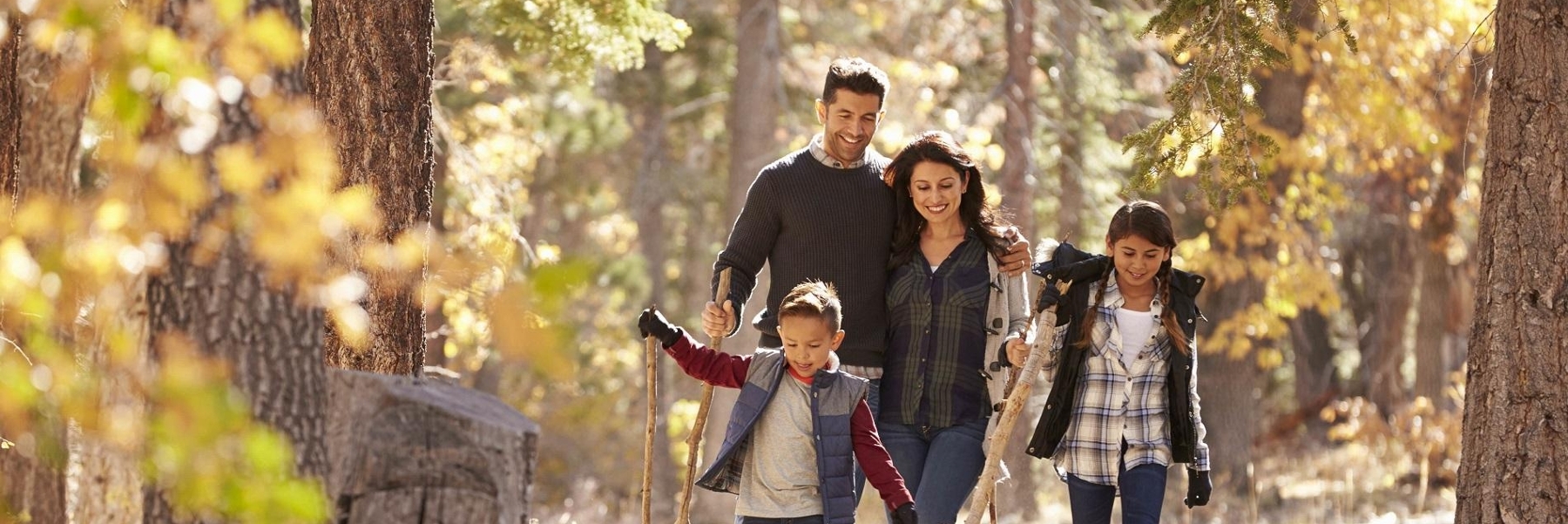 Root Canal Therapy | Dentist